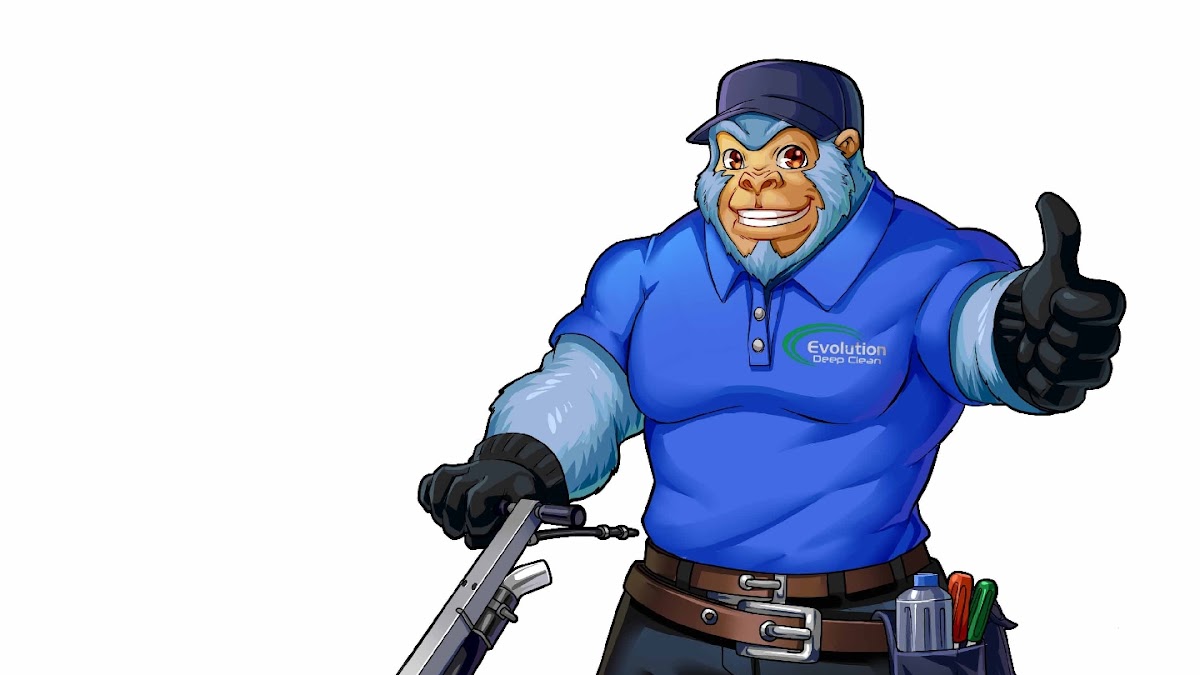 Evolution Deep Clean work photo 1