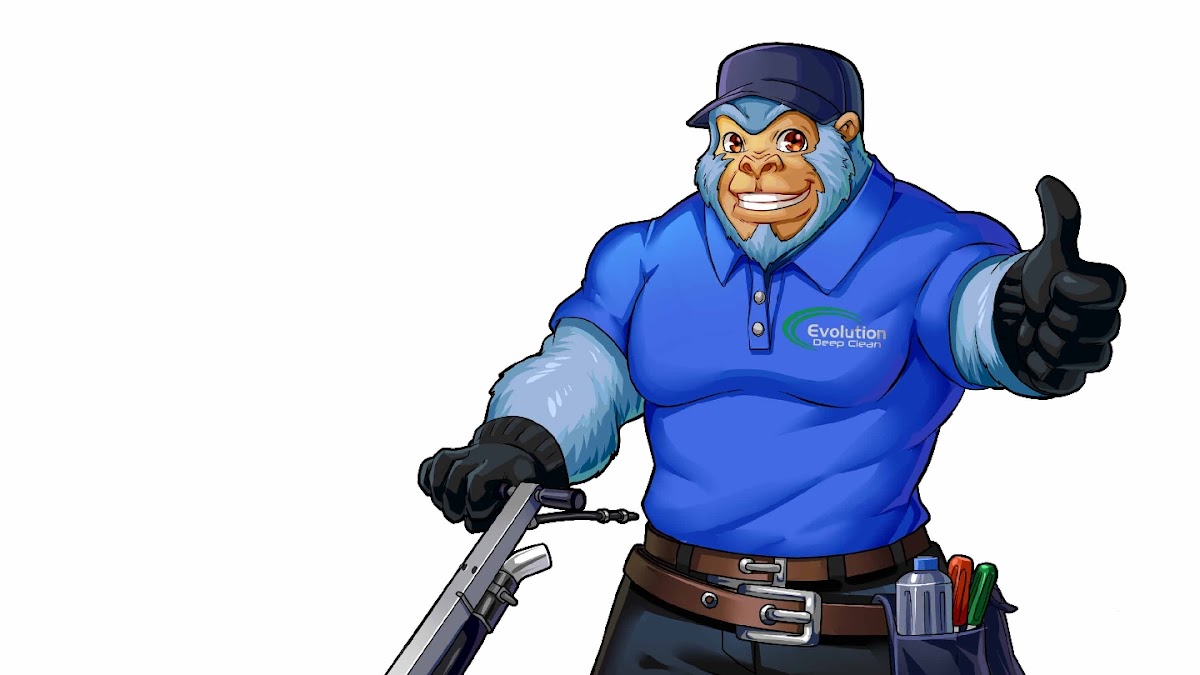 Evolution Deep Clean work photo 2